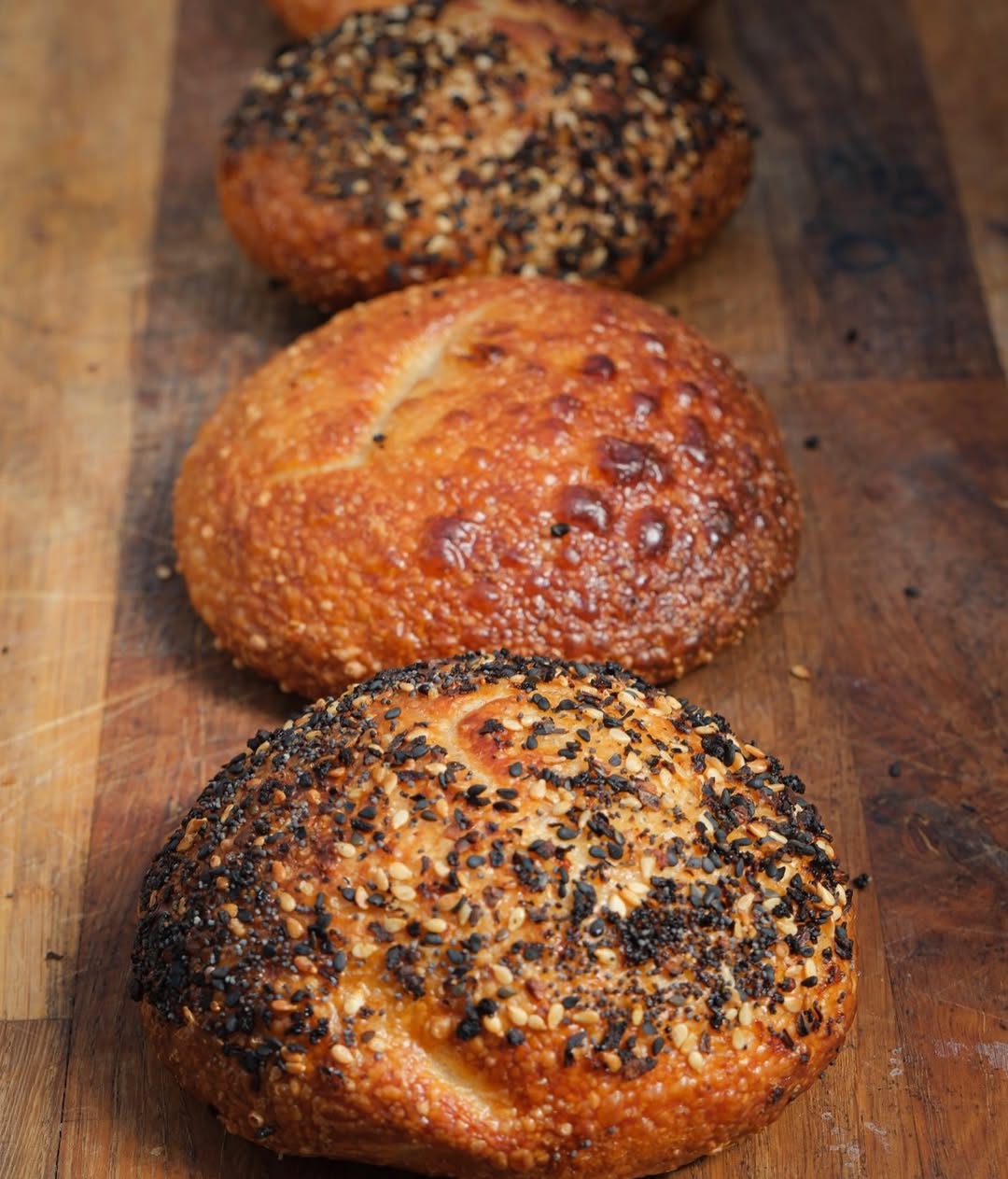 Freshly baked bagels