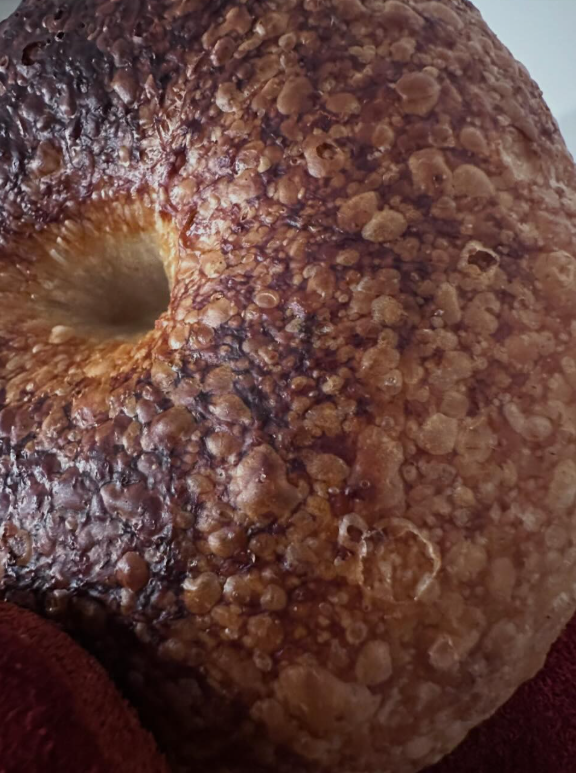 Bagels up close